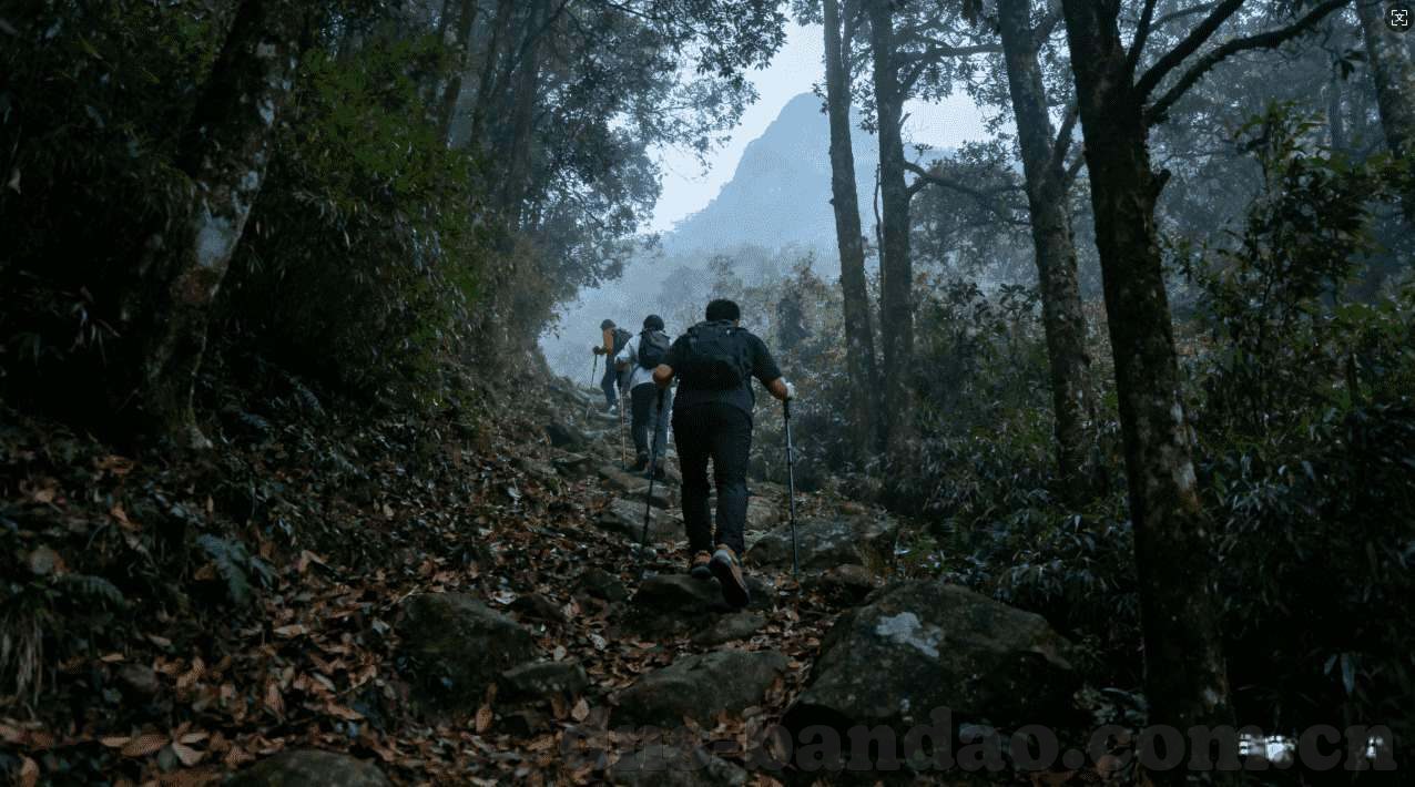 星空卫视体育直播下载-星空卫视体育直播,传递实时赛事,探索体育魅力